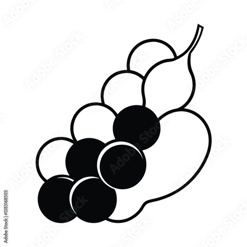 grapes vector illustration