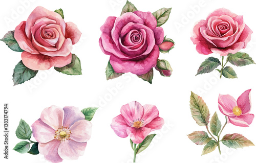 Artistic Watercolor Pink Rose