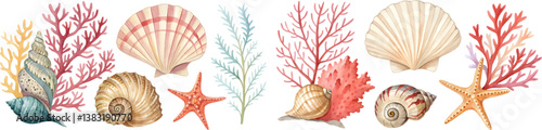 set of vector watercolor seashells and corals on white