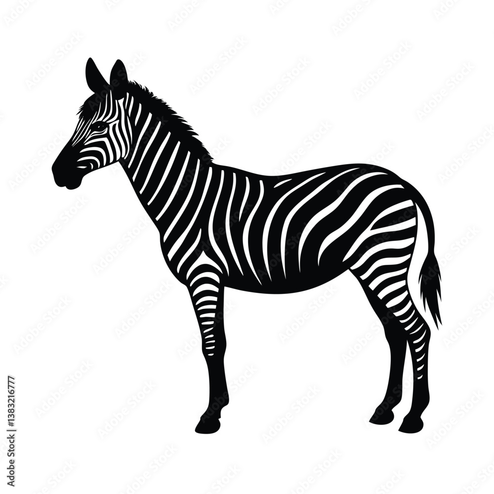 Obraz premium zebra isolated on white