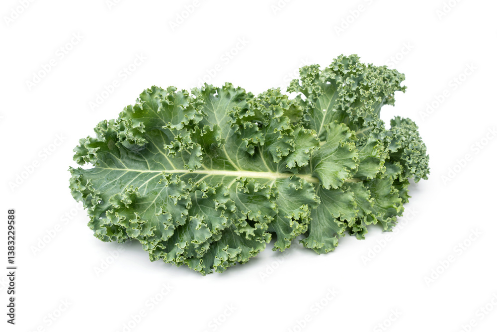 Fresh Curly Kale or leaf cabbage The Queen of greens Vegetables Superfood isolated on white background. Fresh Curly Kale or leaf cabbage The Queen of greens Vegetables Superfood isolated on white background.