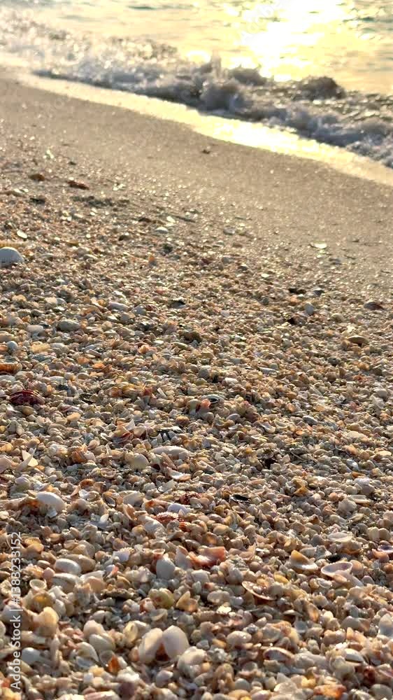 Stone, shells mosaic in beach glows under emerald tide as bay curves gently, translucent surf reveals smooth textures, secret tropical destination made for slow walks and coastal photography dreams. Stone, shells mosaic in beach glows under emerald tide as bay curves gently, translucent surf reveals smooth textures, secret tropical destination made for slow walks and coastal photography dreams.