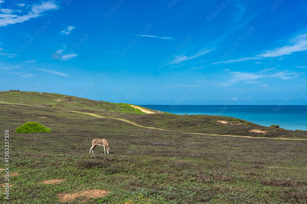 Trail along the coast and beaches from Jericoacoara to Pedra Furada in Ceara State, Brazil.