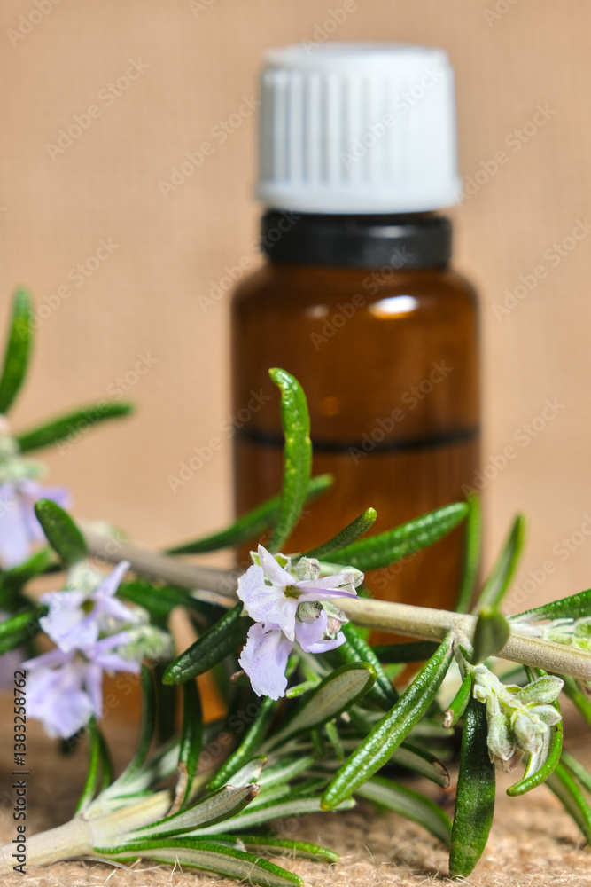A brown glass bottle of rosemary essential oil with a white cap, surrounded by fresh green rosemary sprigs and light purple flowers on a textured beige background. A brown glass bottle of rosemary essential oil with a white cap, surrounded by fresh green rosemary sprigs and light purple flowers on a textured beige background.