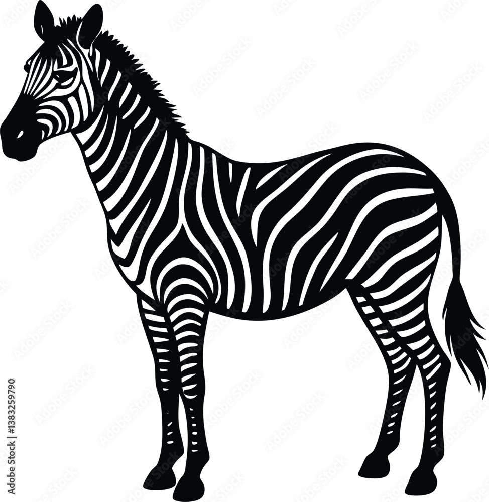 Fototapeta premium zebra vector illustration