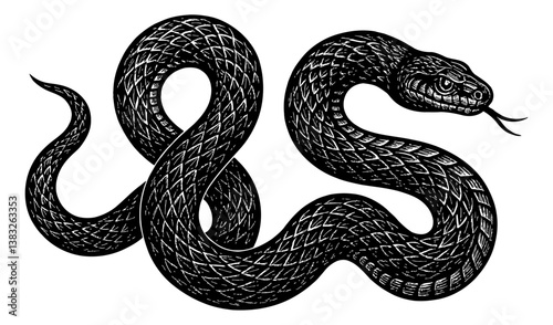 Detailed Black and White Engraving of a Coiled Snake with Tongue Out