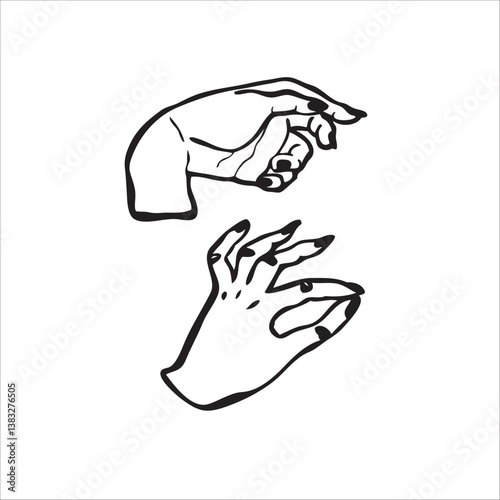 Vector outline hand drawn female hands