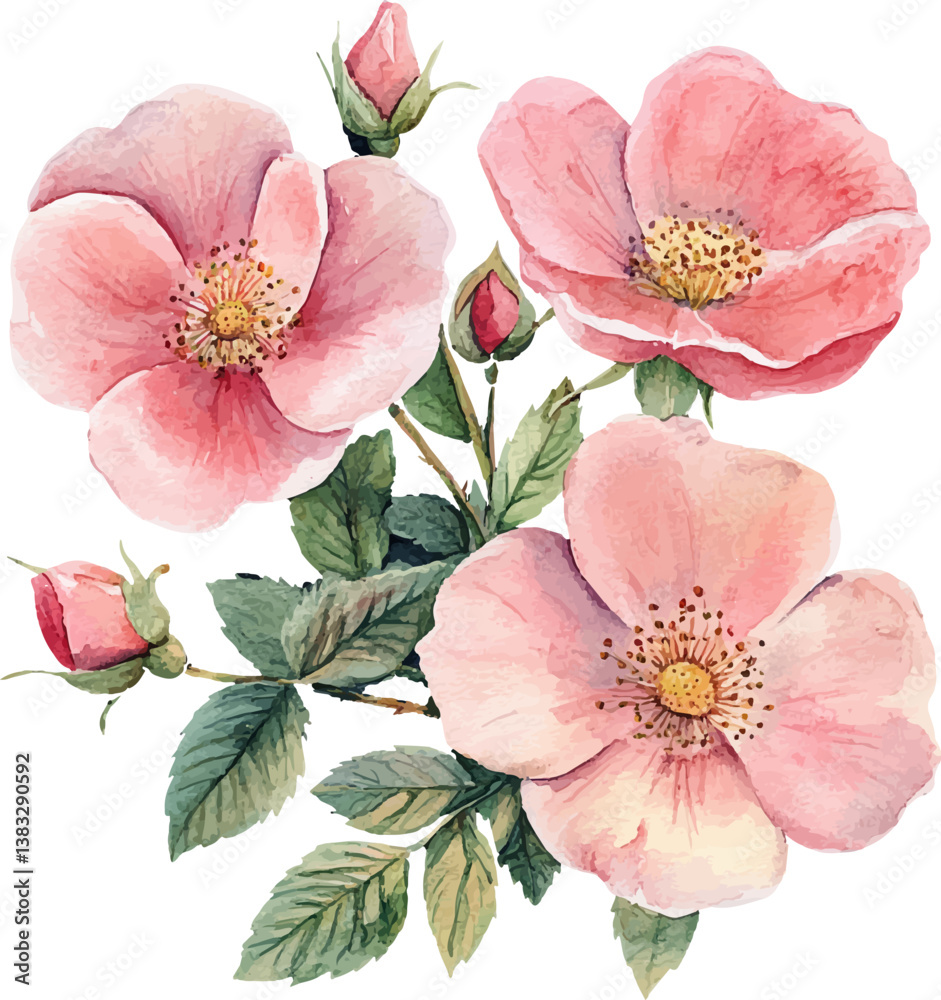 Obraz premium pink flowers