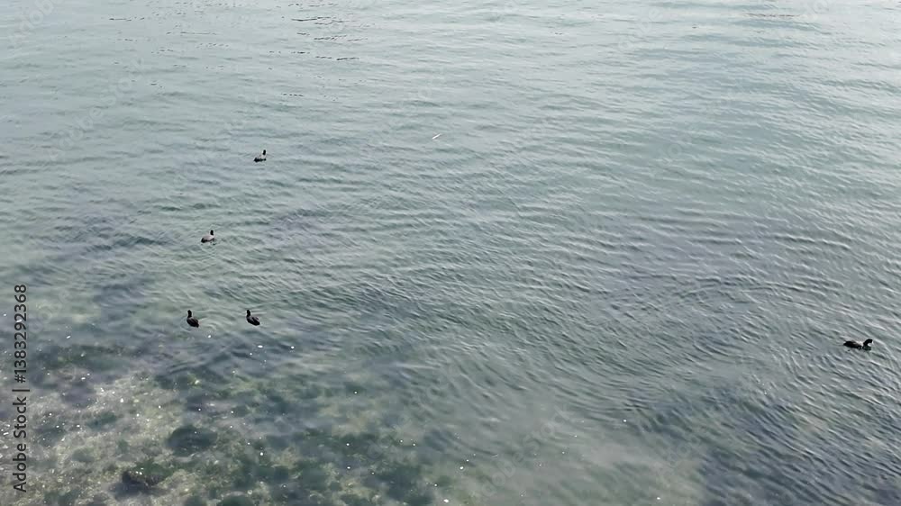 일본 나고야항구