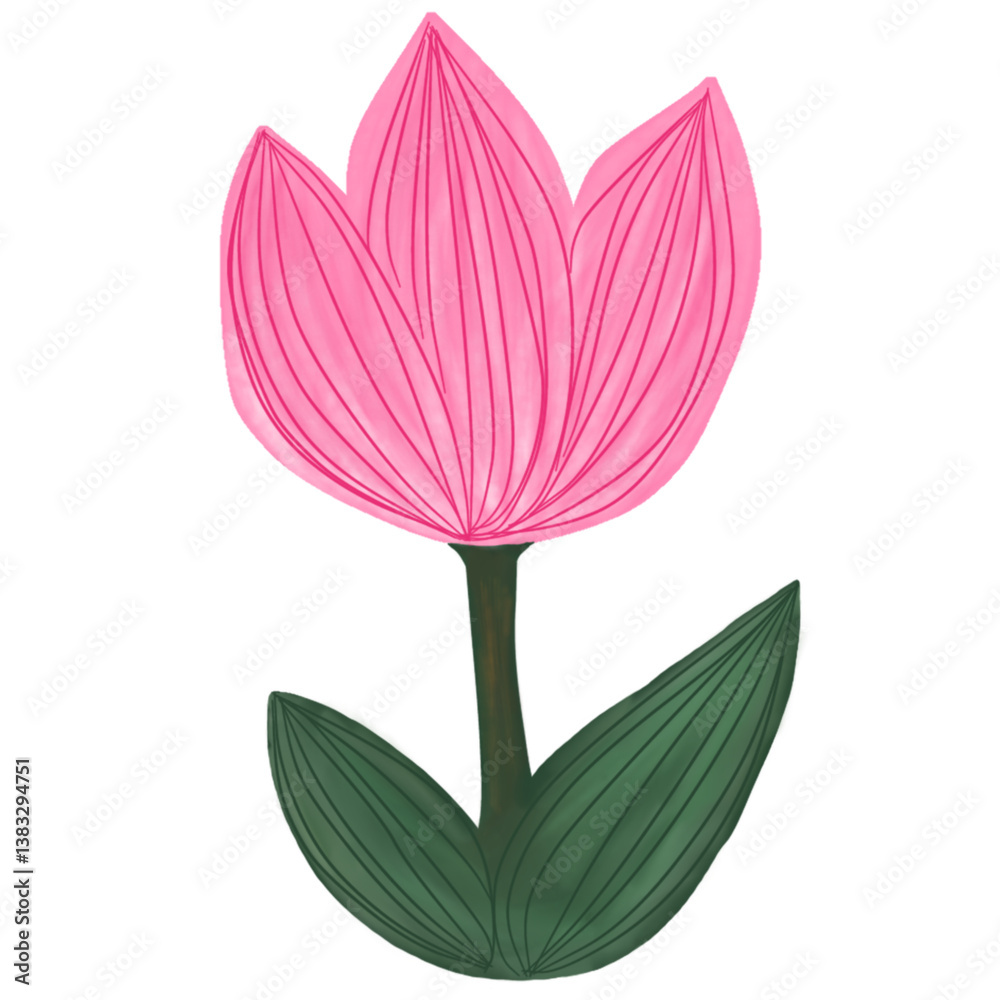 Hand-drawn Digital Pink Tulip Flower Illustration for Logo, Element or Icon.eps