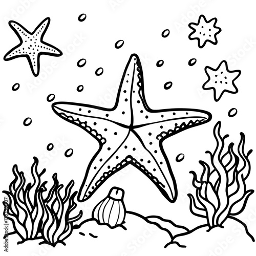 sea star vector illustration