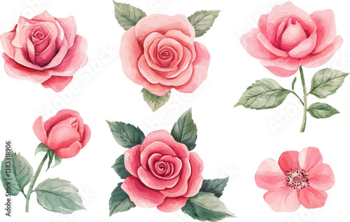 Beautiful Watercolor Pink Rose Clipart