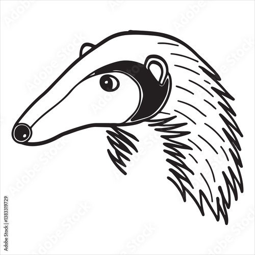 Lesser Anteater – The Unique and Agile Tamandua