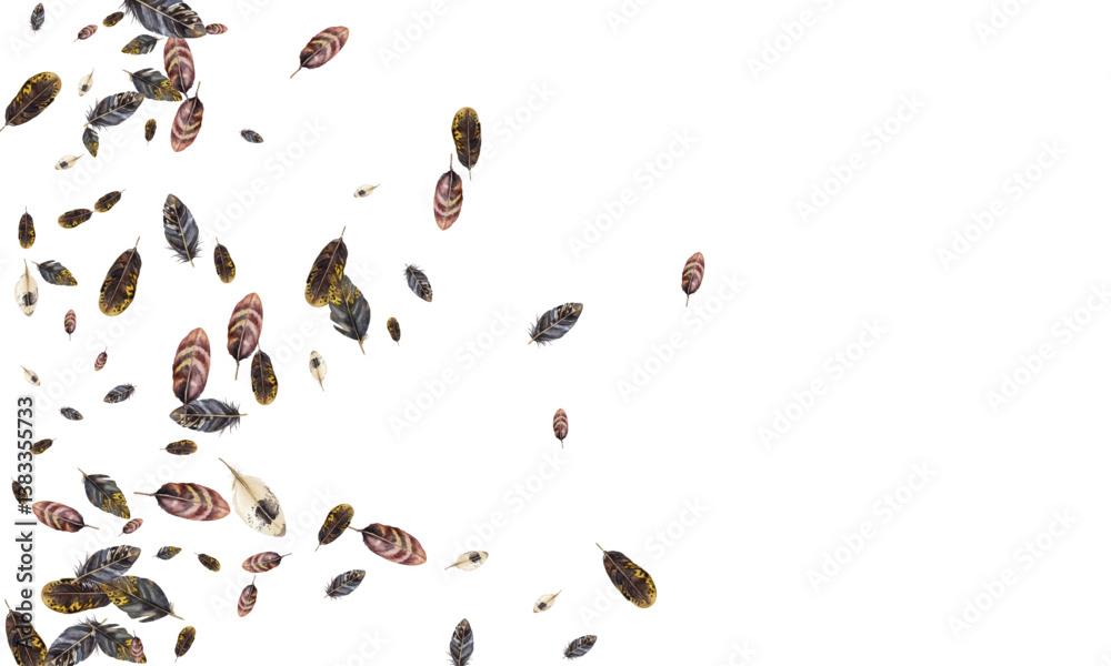 Obraz premium Adobe Illustrator Artwork