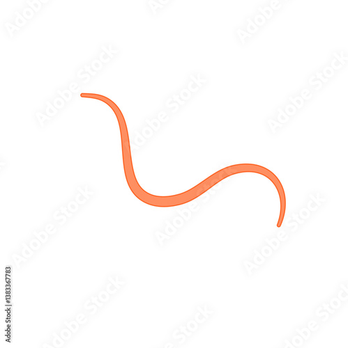 Ascaris Lumbricoides Human Worm Parasite