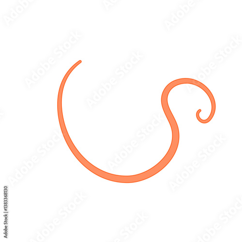 Ascaris Lumbricoides Human Worm Parasite