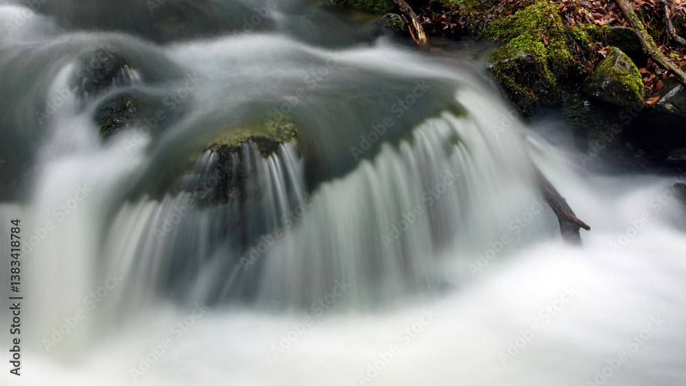 Fototapeta premium small waterfall in the forest