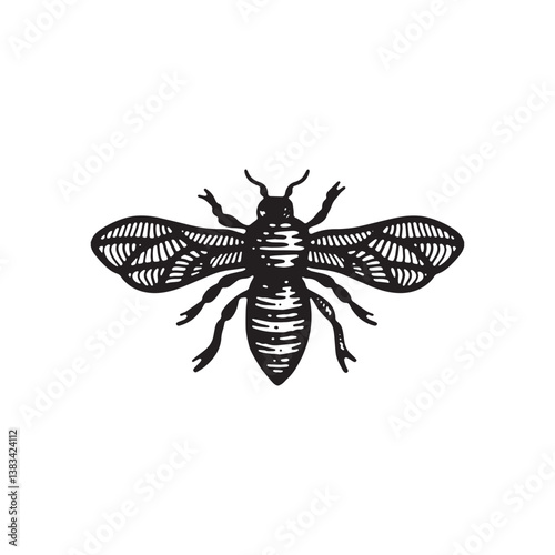 Bee logo in vintage handdrawn style, tattoo idea, woodcut illustration