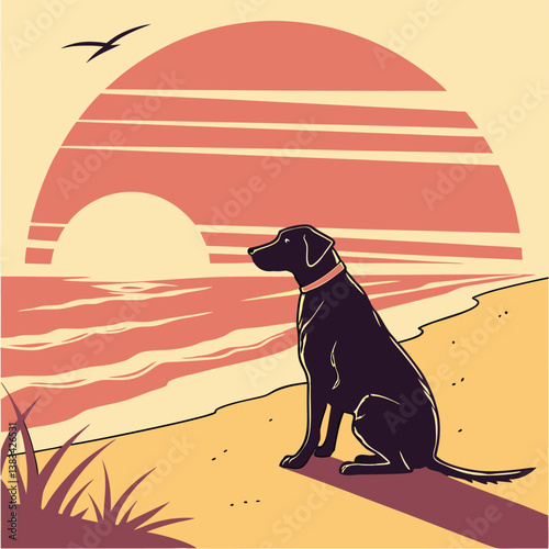 dog on the beach