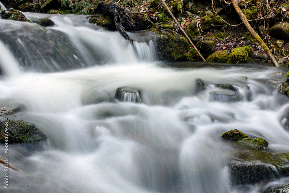 Fototapeta premium small waterfall in the forest