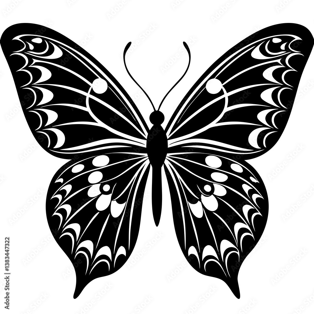 butterfly vector illustration butterfly vector illustration