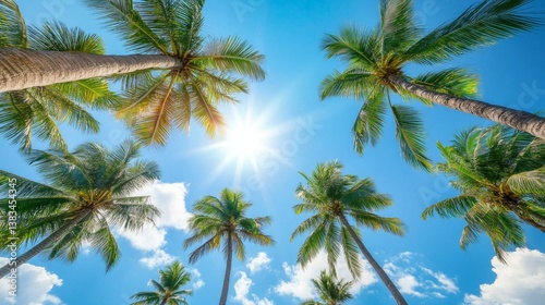 Wallpaper Mural The palm leaves form a natural canopy, sunlight filters through them and creates a serene atmosphere. generative ai Torontodigital.ca