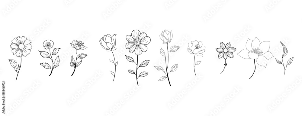 flower and leaves botanical line art floral element set for wedding card invitation design and frame brand vector logo flower and leaves botanical line art floral element set for wedding card invitation design and frame brand vector logo