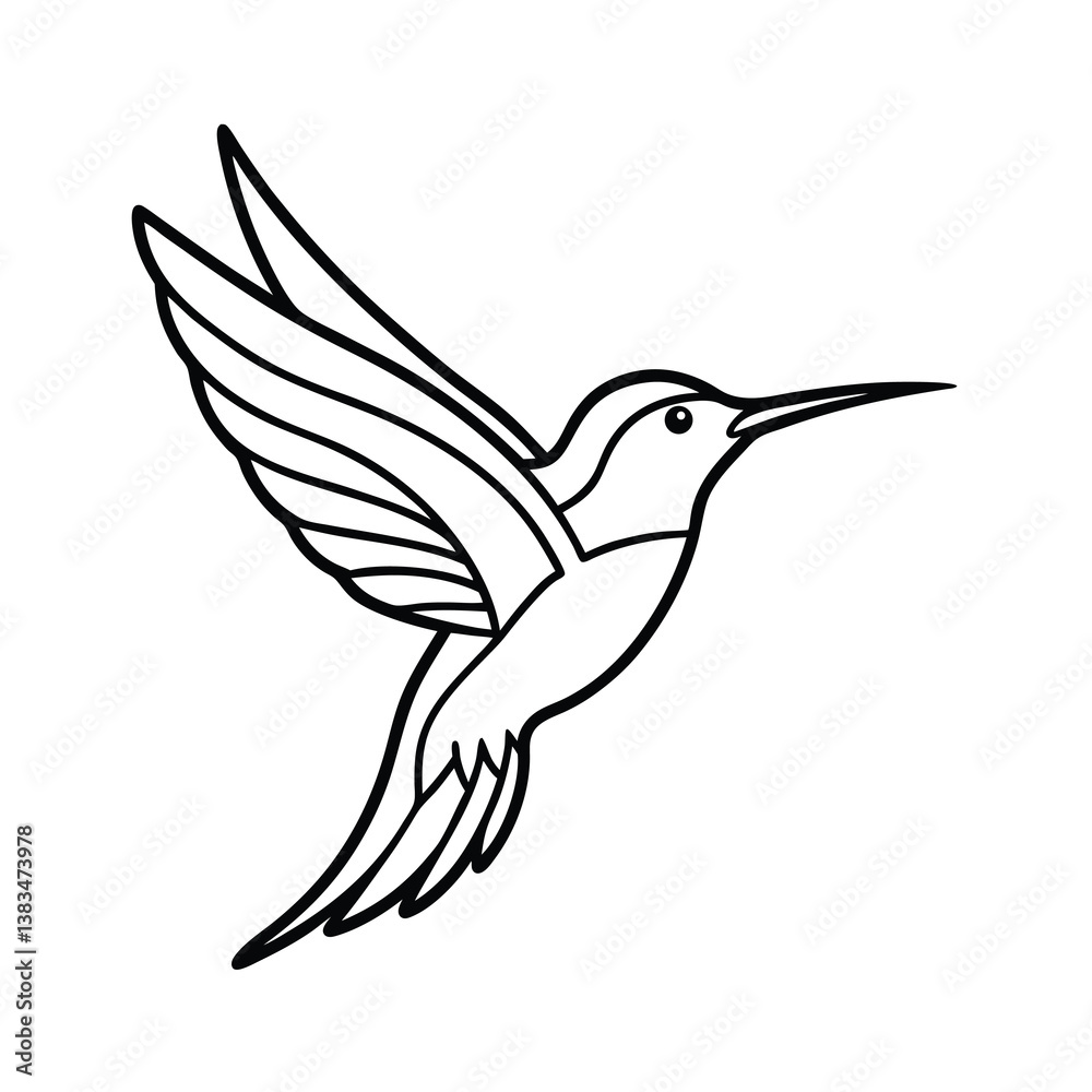 hummingbird vector illustration hummingbird vector illustration