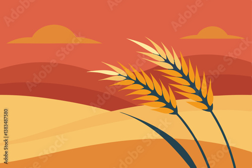 wheat field and sunset