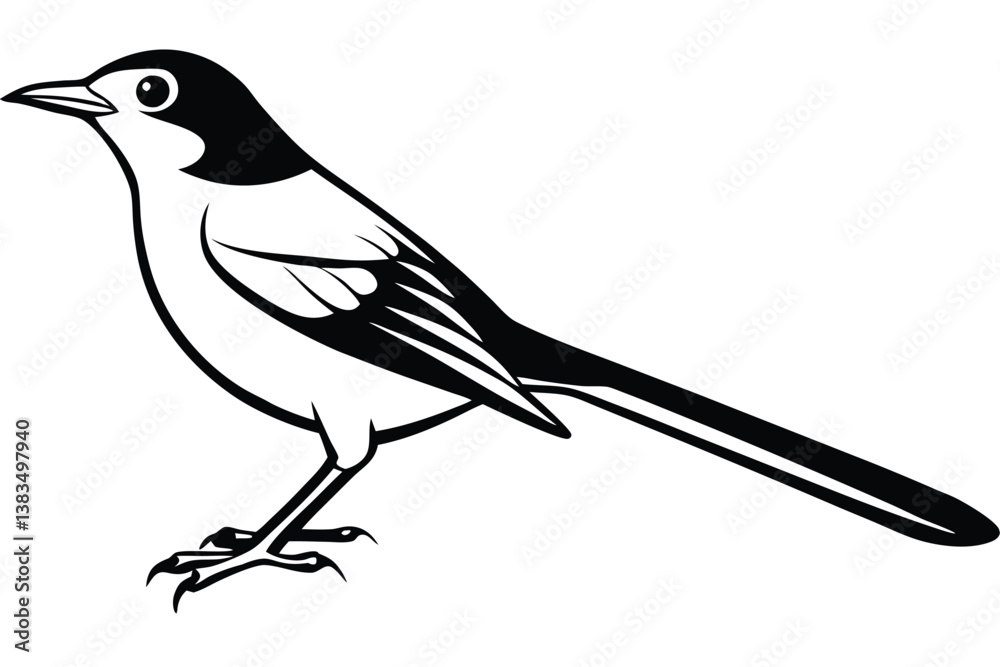 Fototapeta premium Stylized Magpie with Clear Lines 