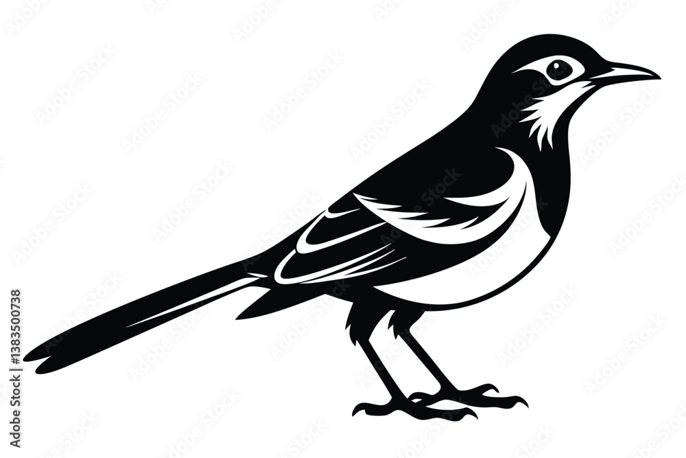 Obraz premium Elegant Black and White Bird