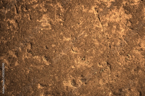 Authentic golden gold moss on fertile brown dark soil surface. Stylized depiction of abstract details texture background. Wallpaper template banner element fine art theme concept photo