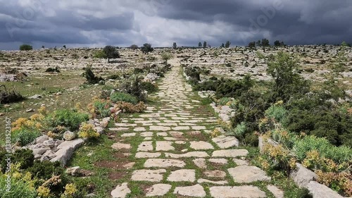 In Saglikli, Tarsus, Mersin, a view of the ancient Roman road which is 3 m wide and 3 km long. Curbstones are still intact, showcasing its historical significance.