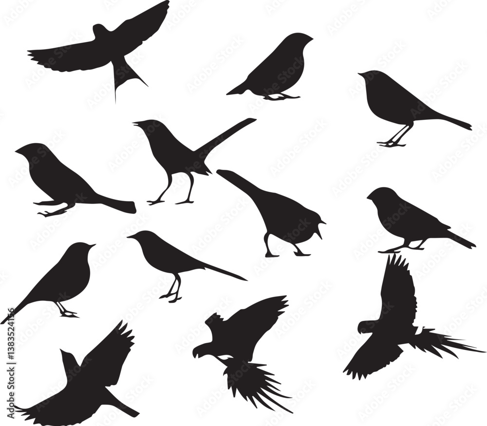 Obraz premium Flying Different Type of Birds silhouette Vector