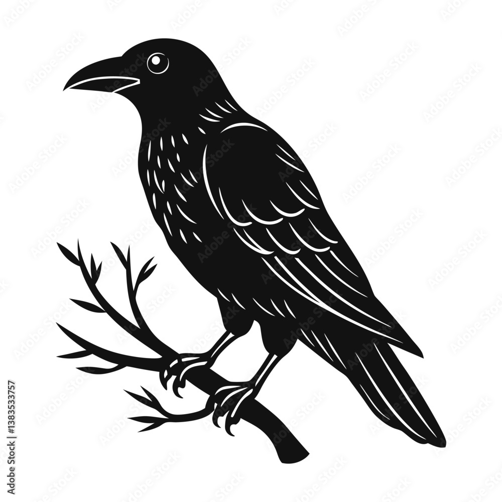 Obraz premium crow on a branch