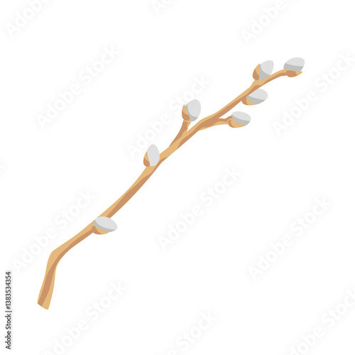 willow branche with soft fluffy catkins
