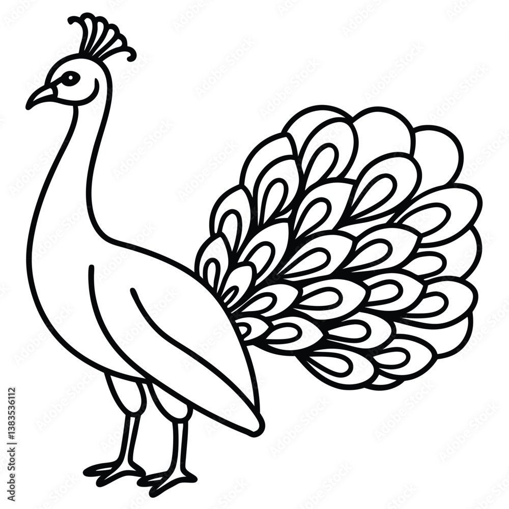 Naklejka premium peacock vector illustration