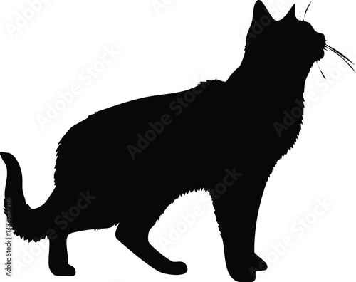 snowshoe silhouette illustration