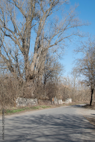 Empty rural road at sunny day