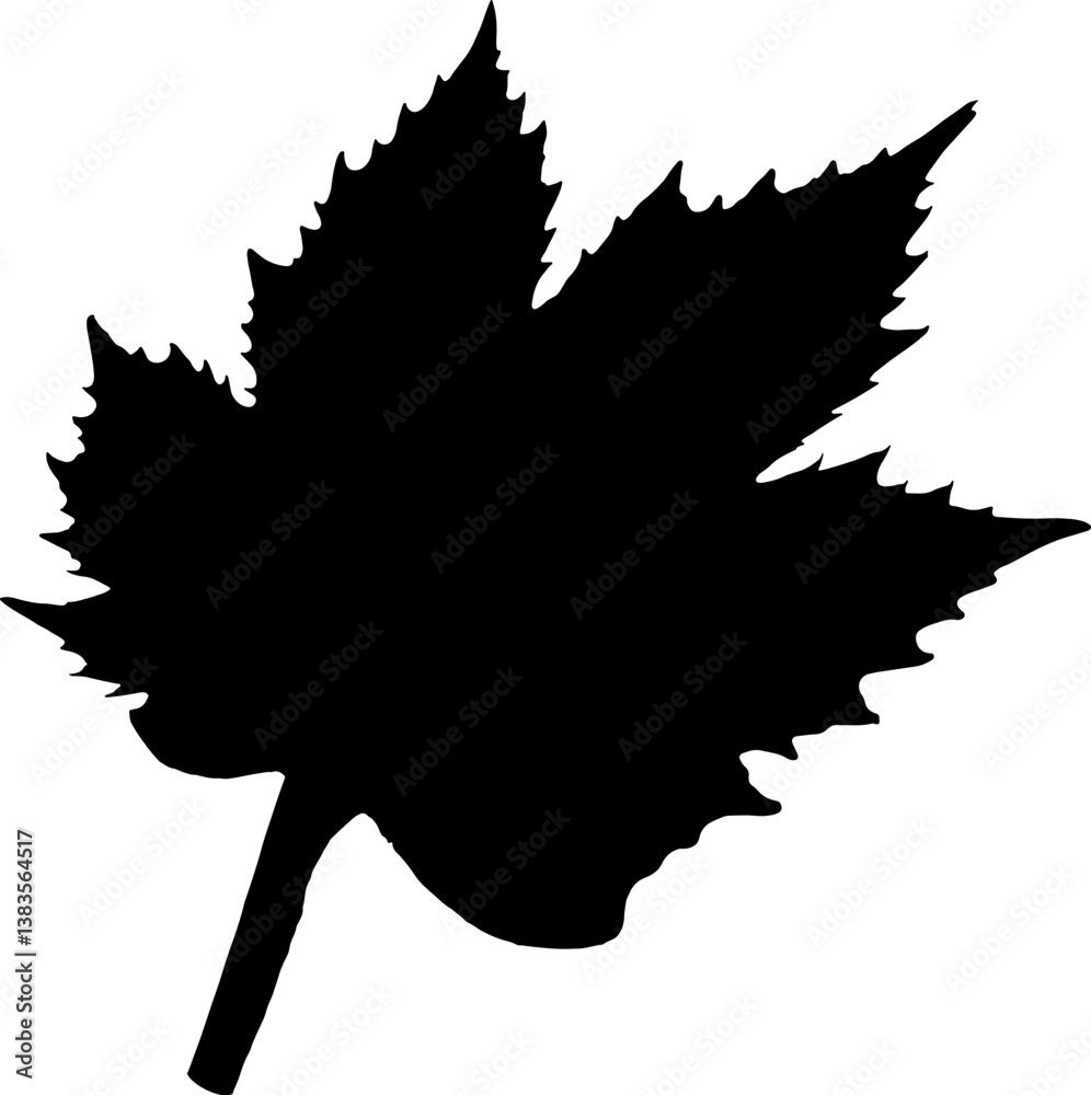maple leaf silhouette isolated on white maple leaf silhouette isolated on white