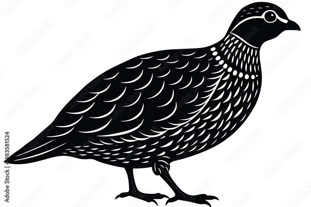 Obraz premium Bobwhite quail vector design silhouette, quail bird silhouette vector illustration design.