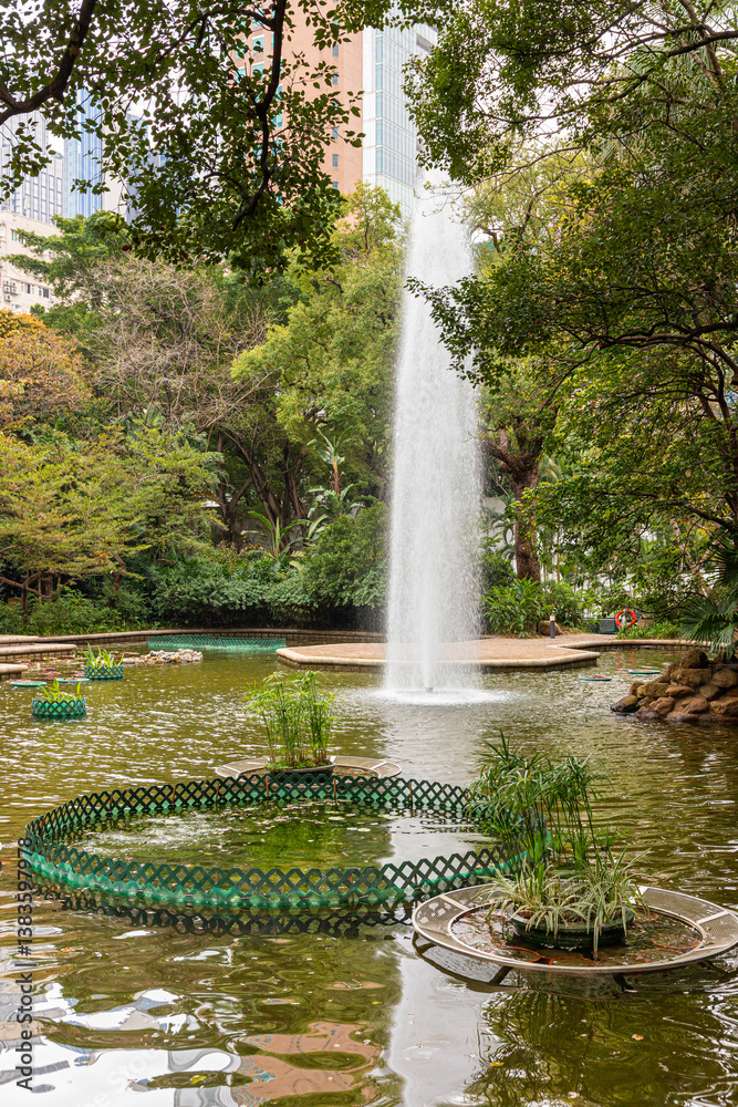 The lotus pond in Kowloon Park, Kowloon, Hong Kong, China