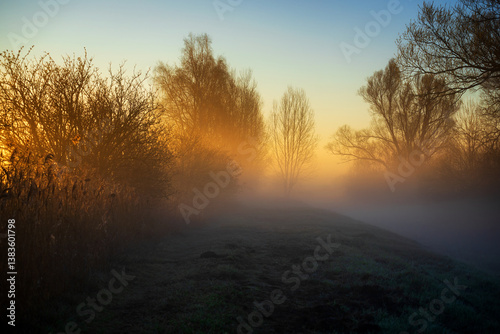 Wiosenny poranek ze słońcem i mgłami, Stawy Dojlidzkie, Podlasie
