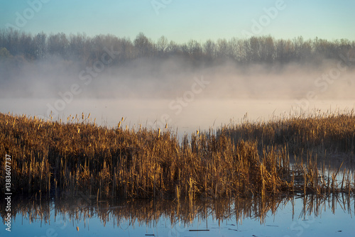 Wiosenny poranek ze słońcem i mgłami, Stawy Dojlidzkie, Podlasie