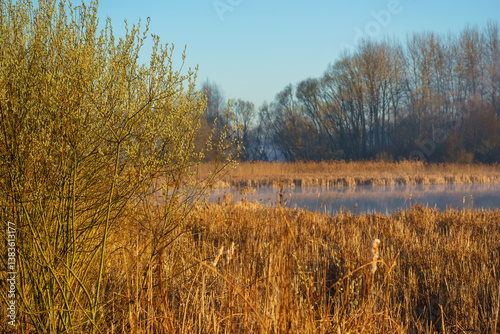 Fototapeta Naklejka Na Ścianę i Meble -  Wiosenny poranek ze słońcem i mgłami, Stawy Dojlidzkie, Podlasie