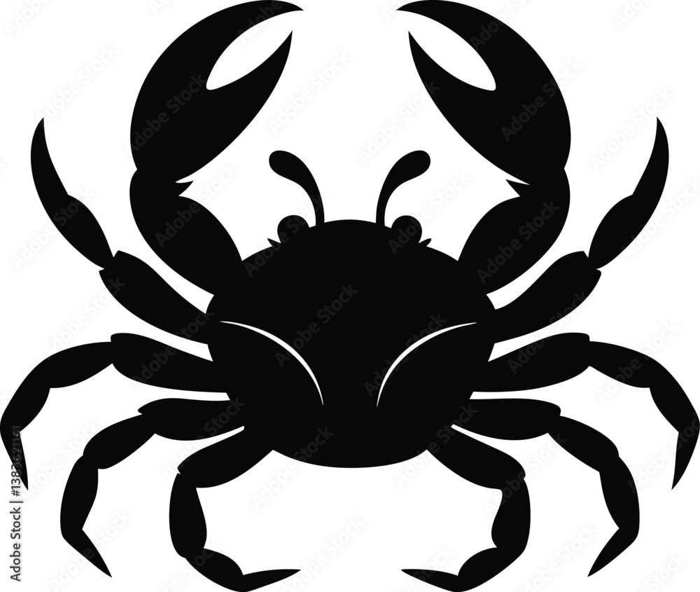 crab isolated on white background crab isolated on white background
