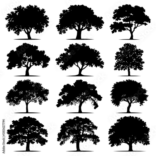 Beech Tree Silhouette Vector Bundle Black and White Beech Tree Clipart EPS Illustration