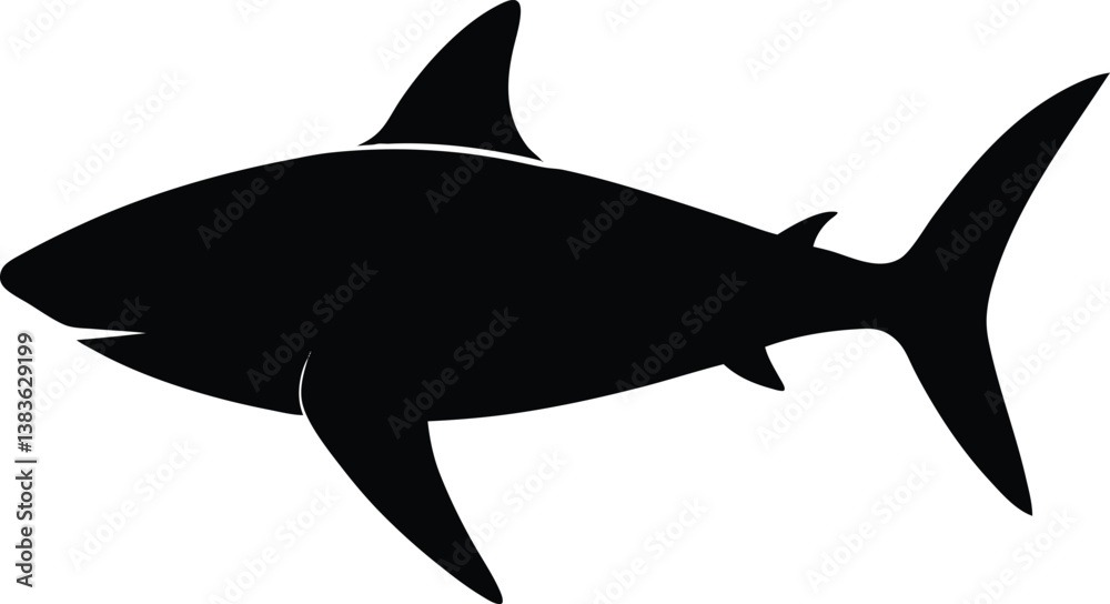 Fototapeta premium great white shark