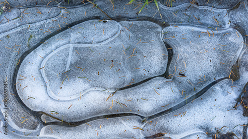 Frozen puddle with intricate ice patterns and scattered pine needles, creating a natural mosaic of shapes and textures.
 photo
