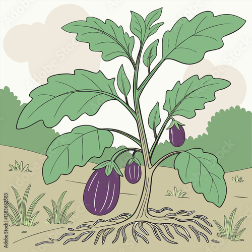Illustration of a healthy eggplant plant with purple vegetables growing and roots in the soil 